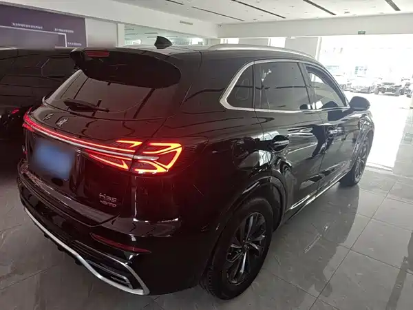 Hongqi HS5 2024