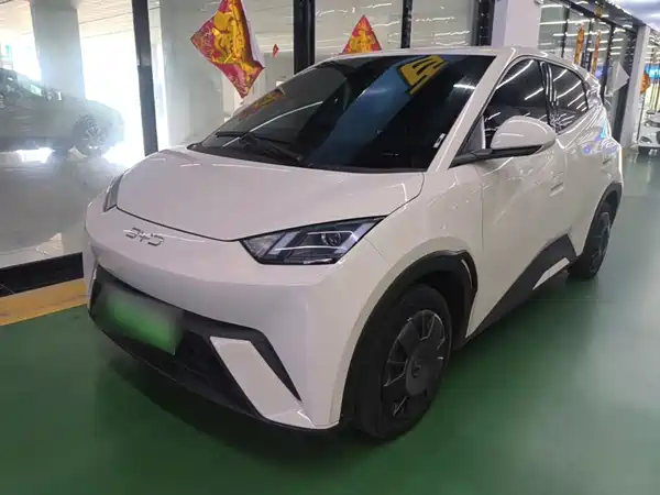 BYD Seagull 2024