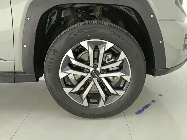 Haval Dog PLUS 2025