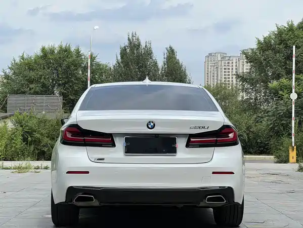 BMW 5 Series 2021