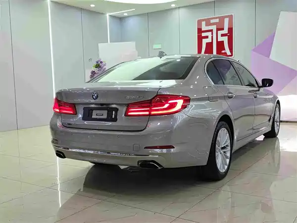 BMW 5 Series 2019
