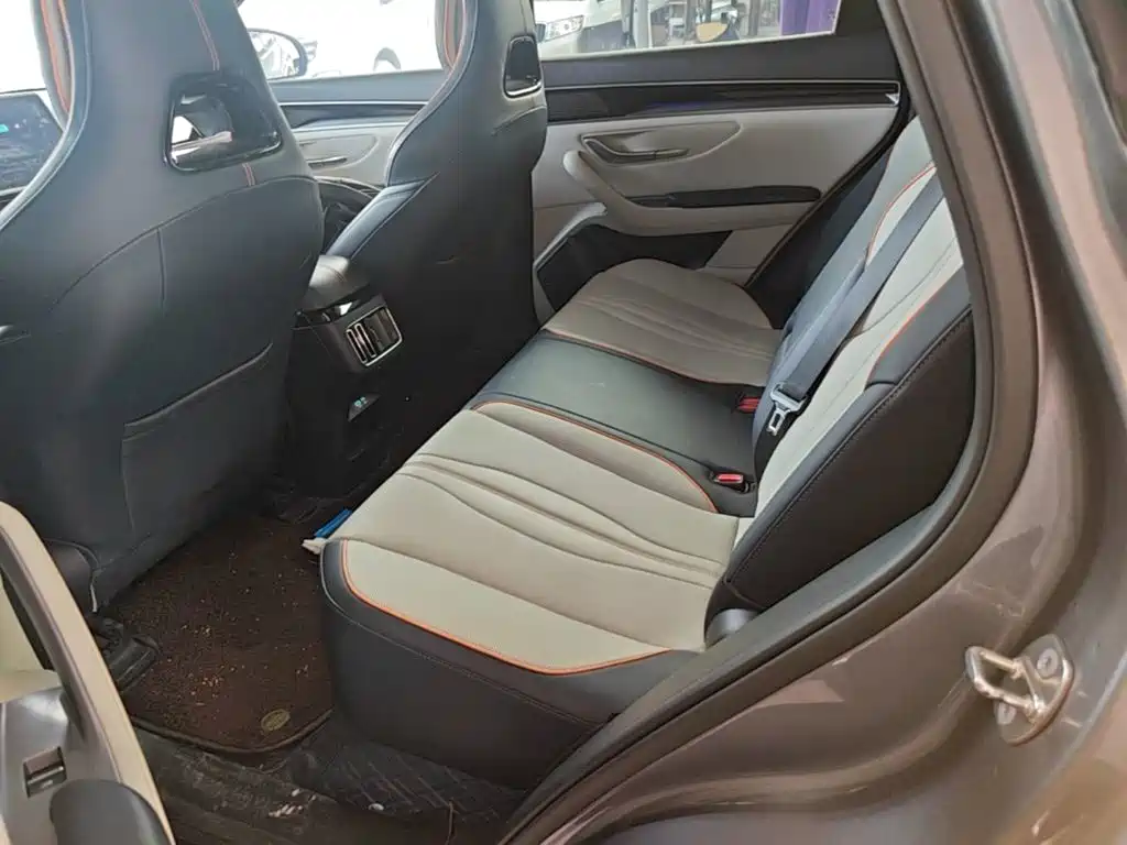 BYD Song PLUS New Energy 2023 — фото 17