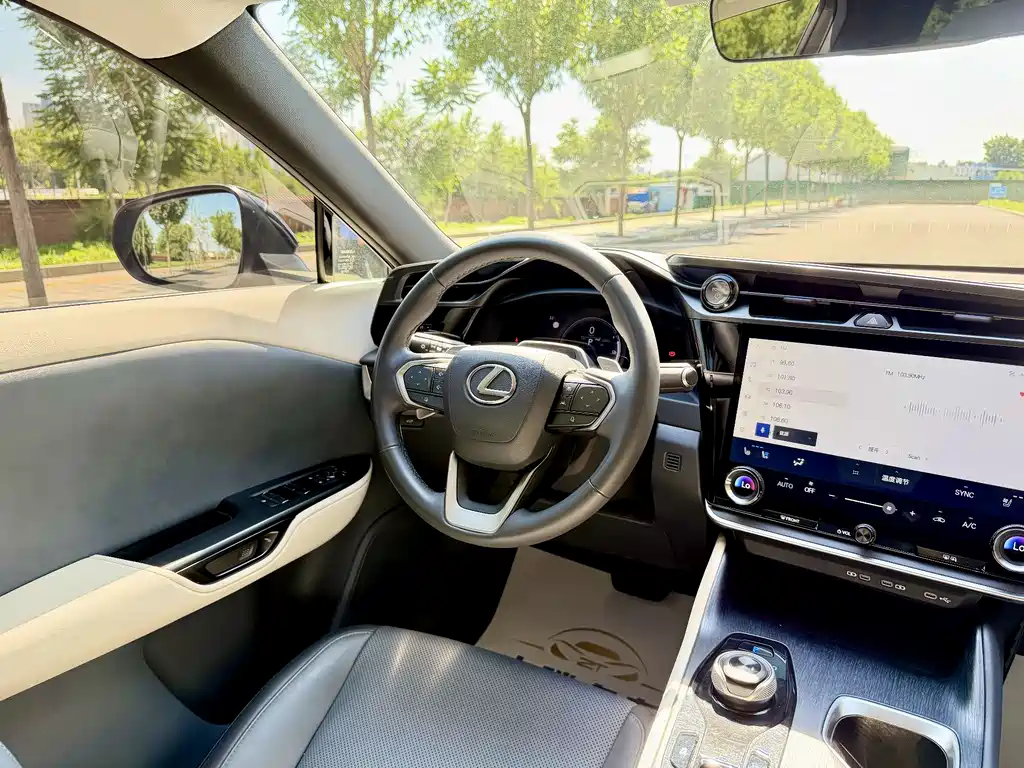 Lexus RZ 2023 — фото 12