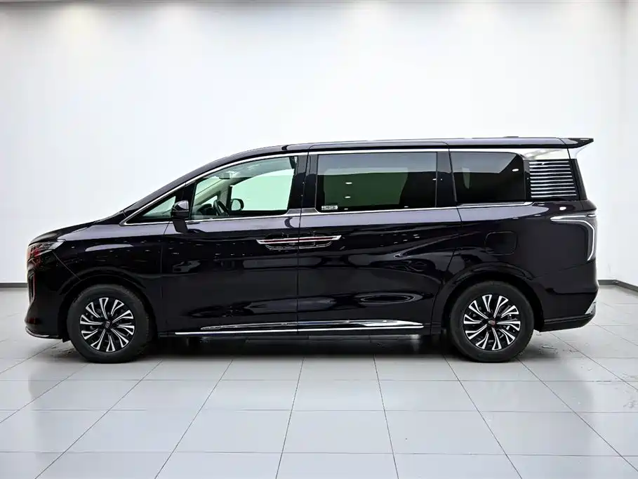 Hongqi HQ9 PHEV 2024 — фото 5
