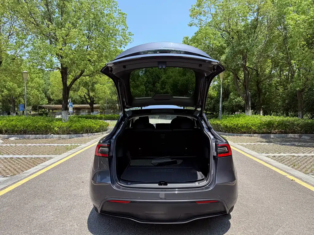 Tesla Model Y 2021 — фото 14
