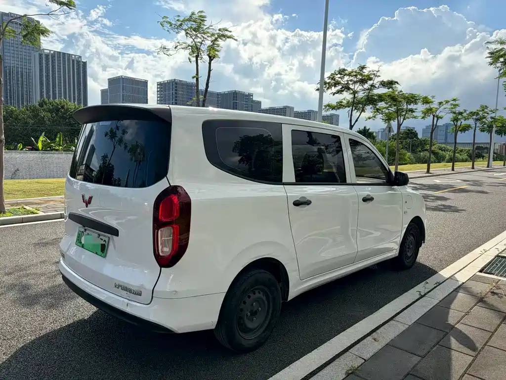 Wuling Hongguang New Energy 2024