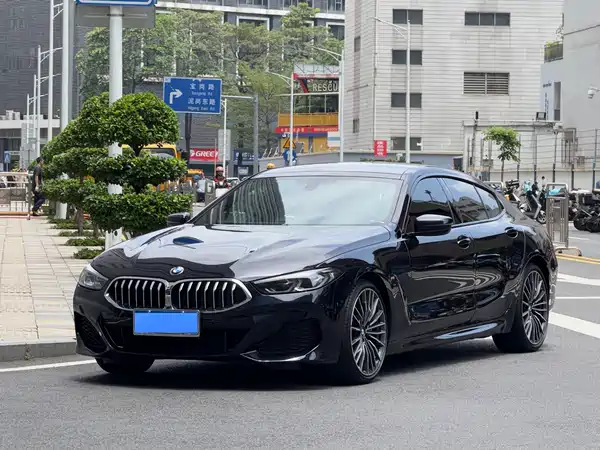 BMW 8 Series 2021
