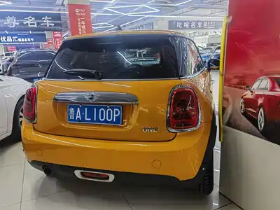 MINI MINI 2015