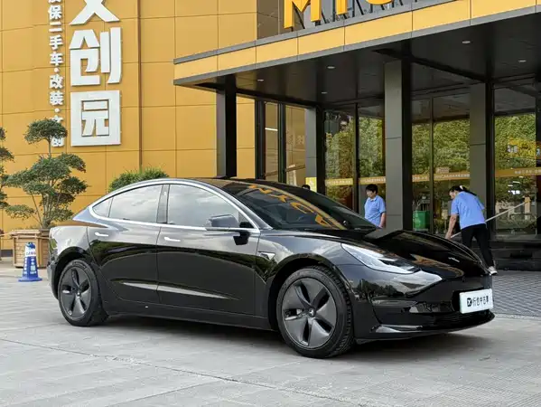 Tesla Model 3 2019