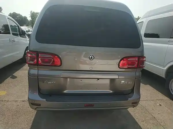 Dongfeng Lingzhi 2021