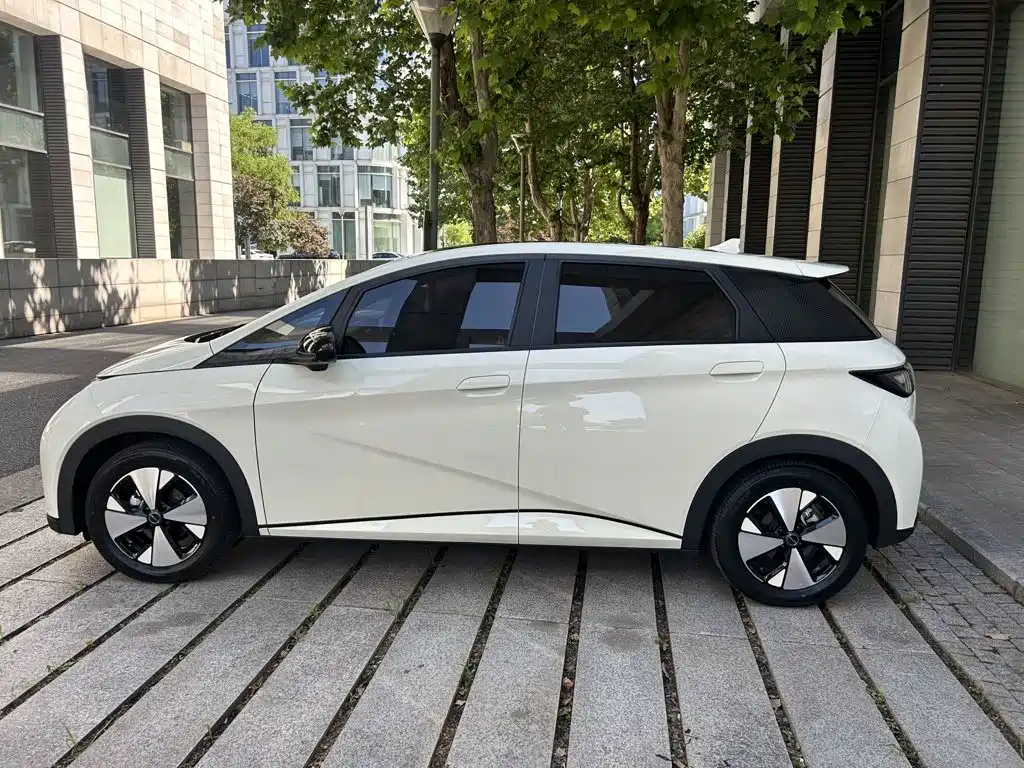 BYD Dolphin 2023