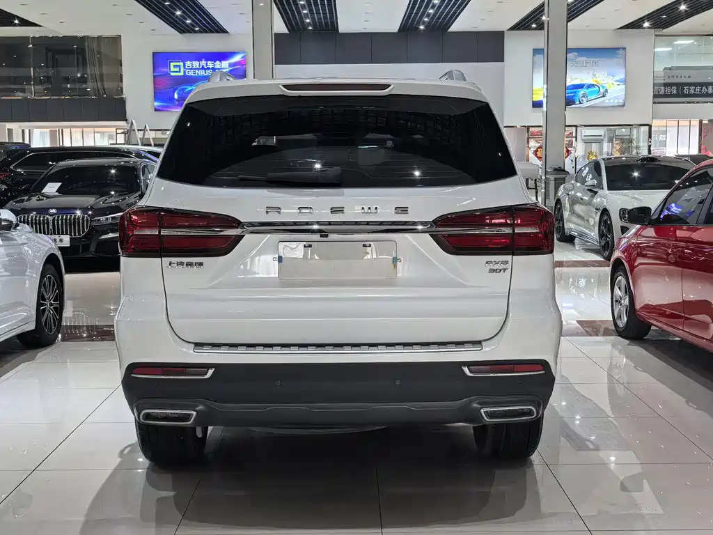 Roewe RX8 2023 — фото 18