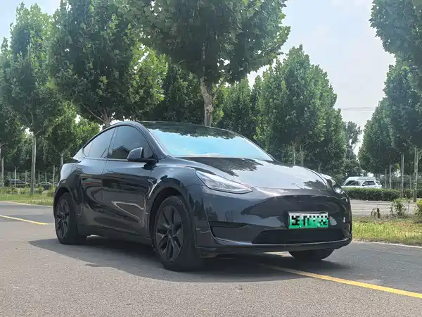 Tesla Model Y 2024