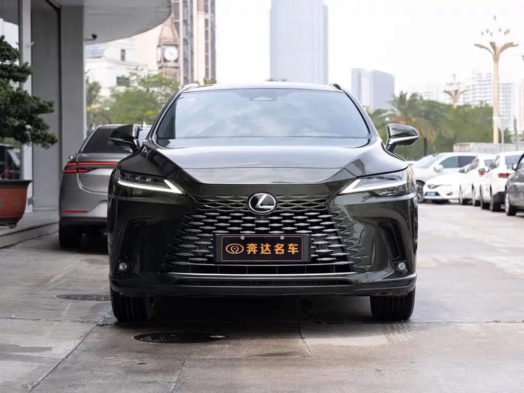 Lexus RX New Energy 2023 — фото 2