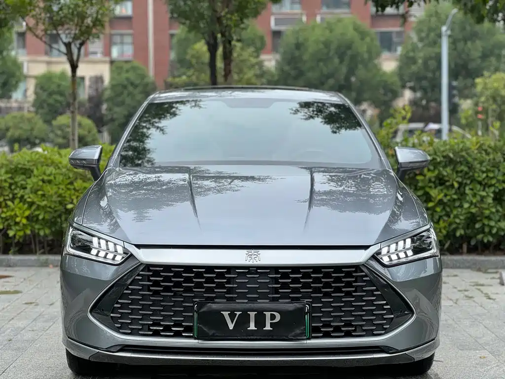BYD Qin PLUS 2023 — фото 2