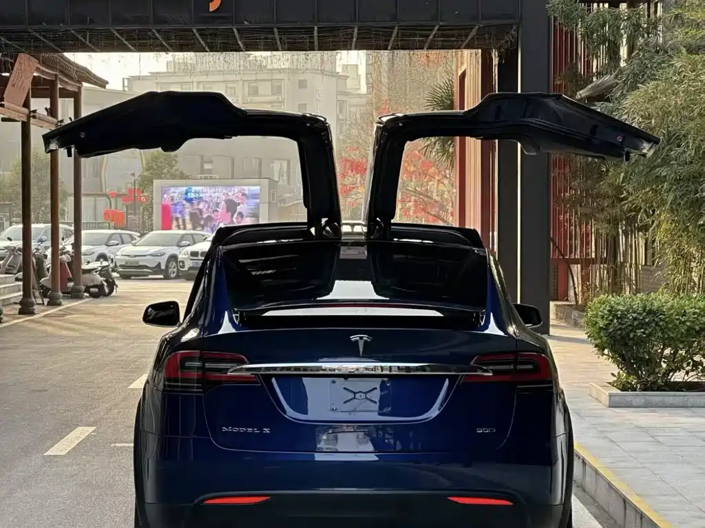 Tesla Model X 2017 — фото 9
