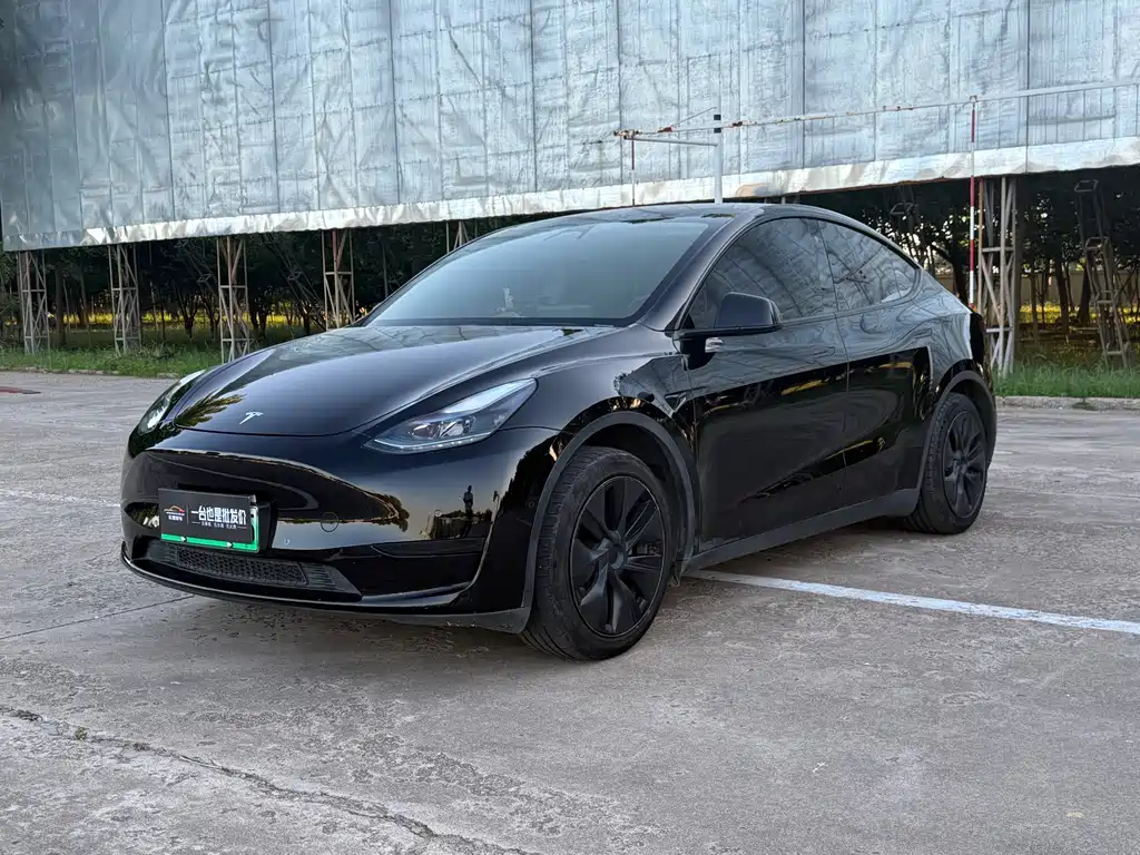 Tesla Model Y 2023 — фото 1