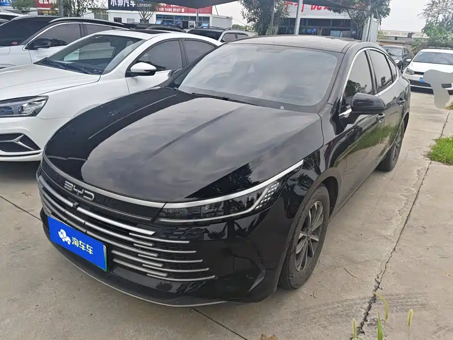 BYD Destroyer 05 2024 — фото 1