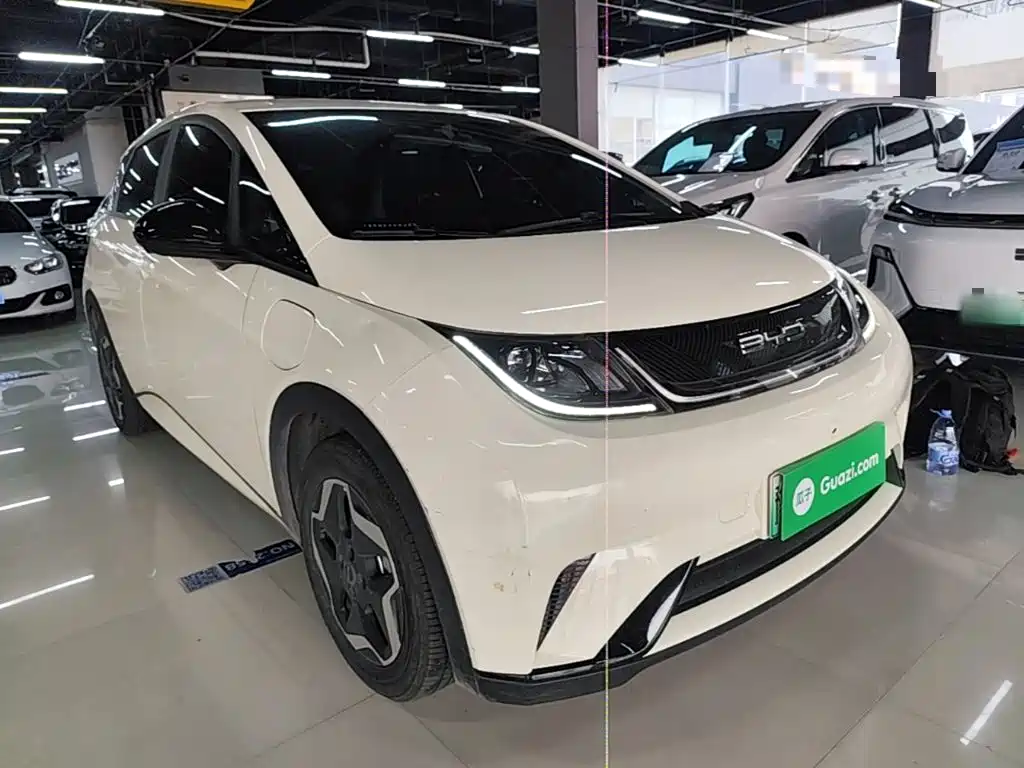 BYD Dolphin 2022