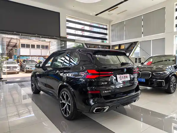 BMW X5 2025