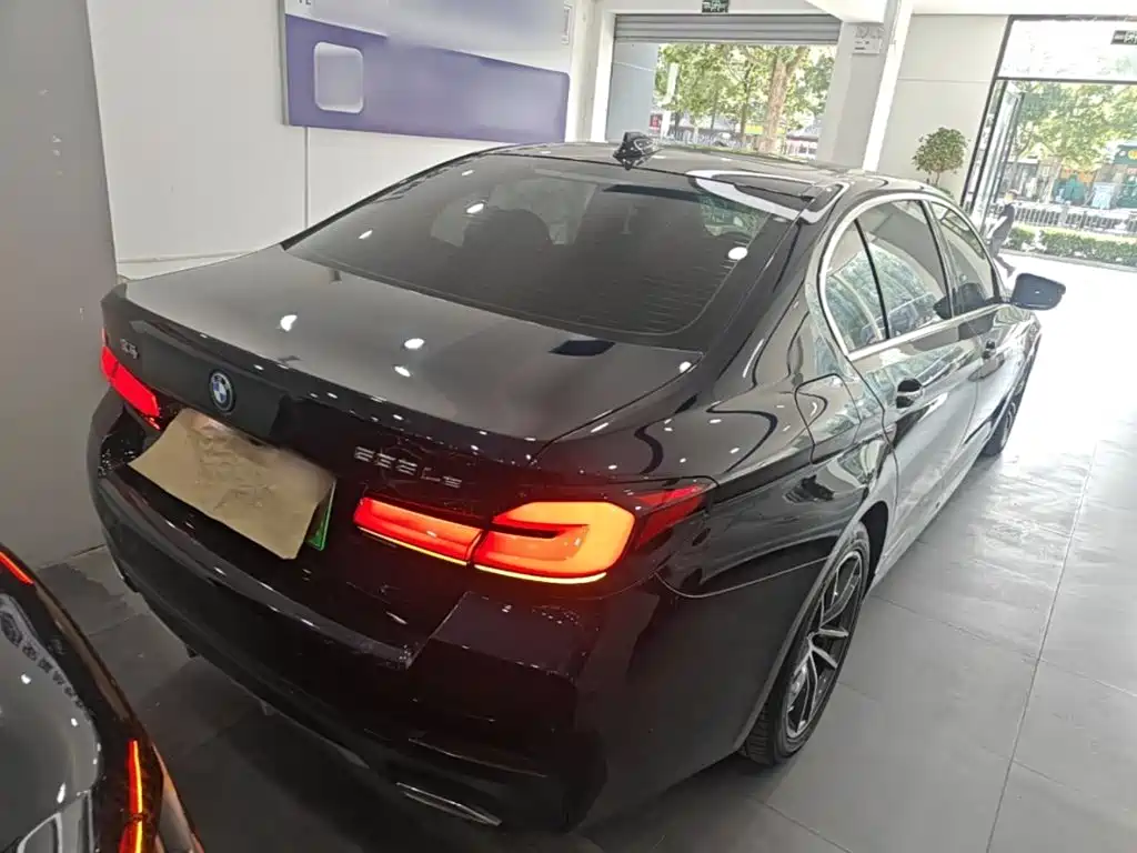 BMW 5 Series New Energy 2023