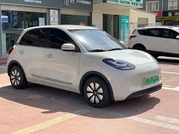 Wuling Bingo 2025