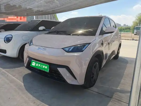 BYD Seagull 2024