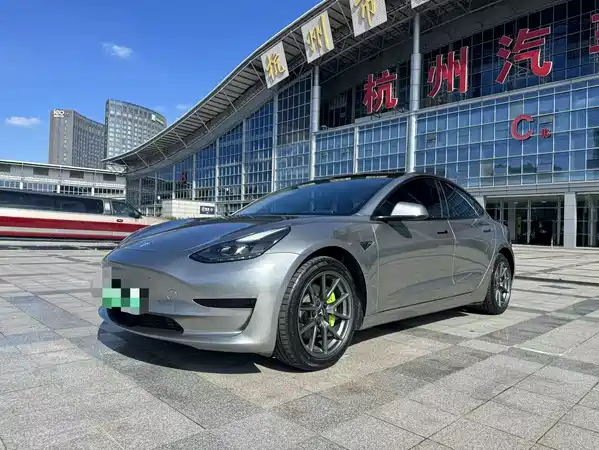 Tesla Model 3 2021
