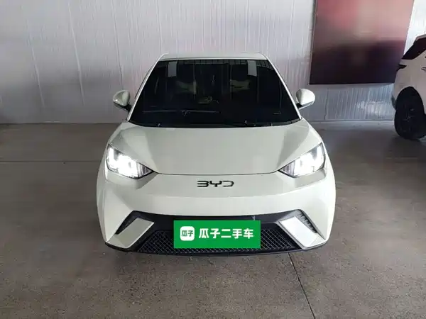 BYD Seagull 2024
