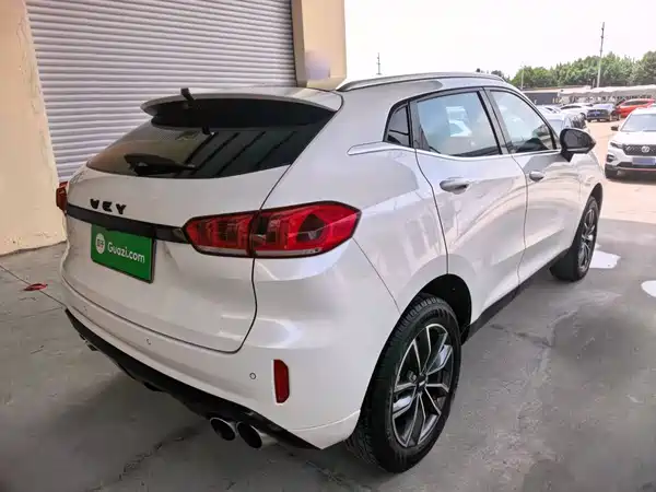 Wey VV5 2020