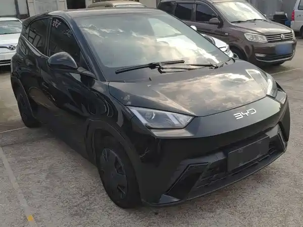 BYD Seagull 2024