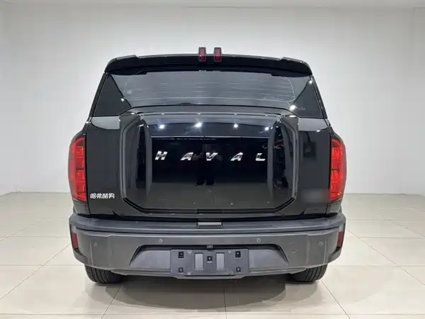 Haval Cool Dog 2023