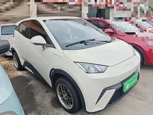 BYD Seagull 2024