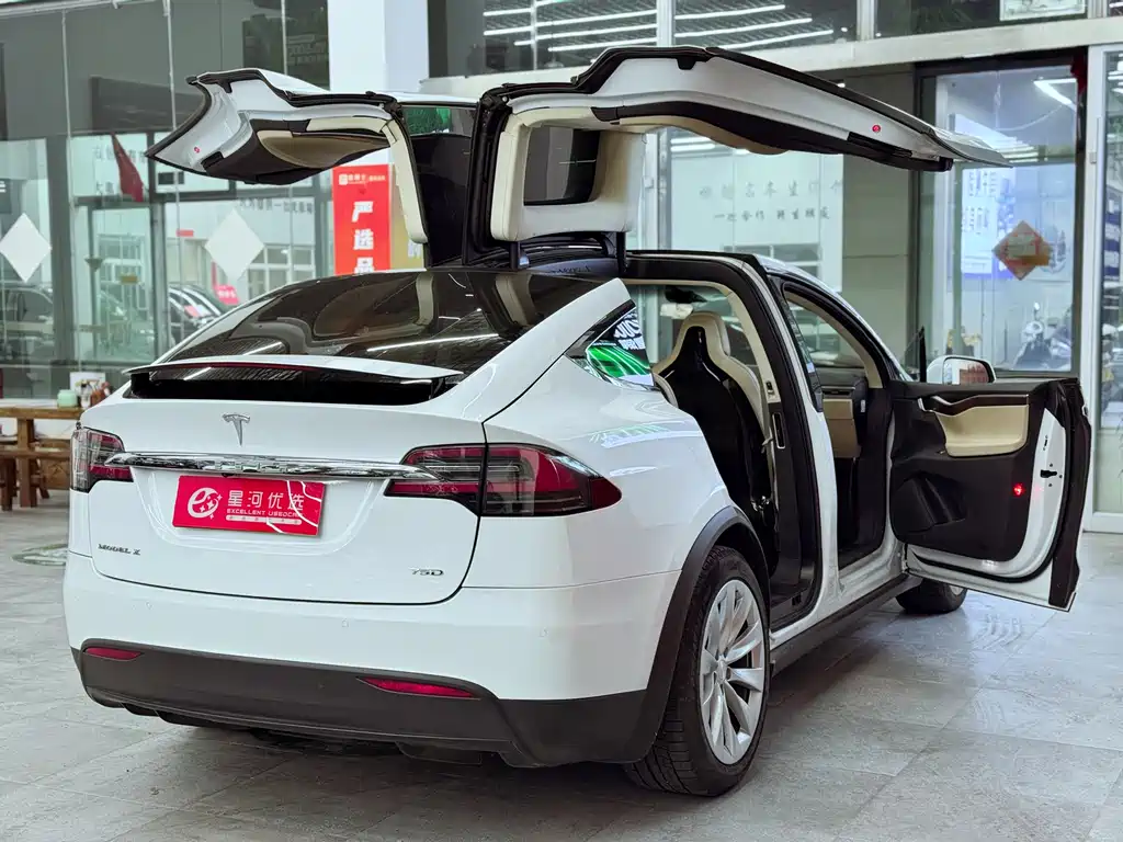 Tesla Model X 2017 — фото 14