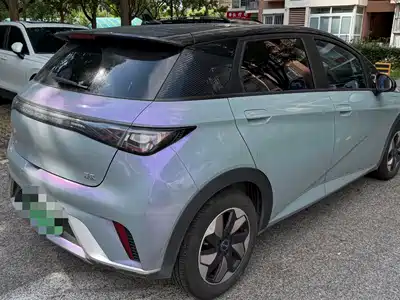 BYD Dolphin 2024