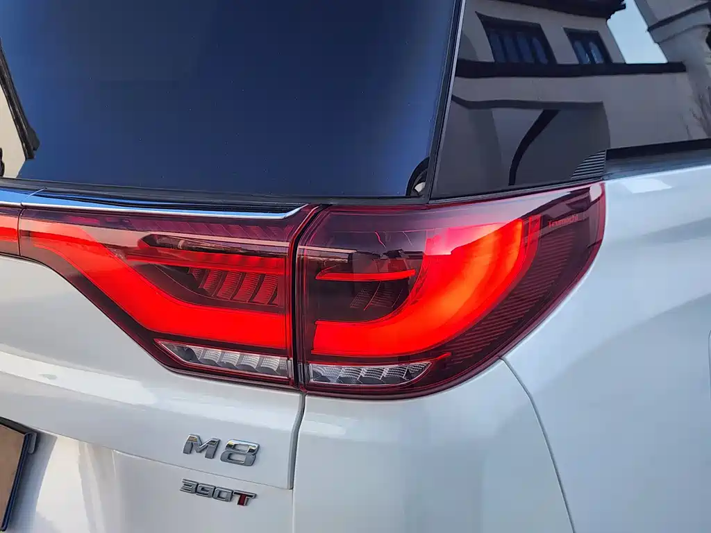 GAC Motor Trumpchi M8 2021 — фото 24