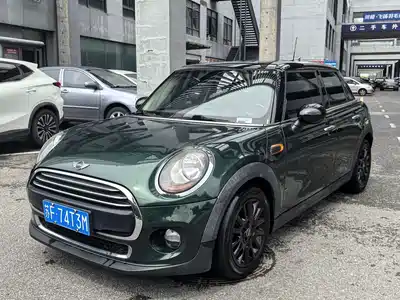 MINI MINI 2017