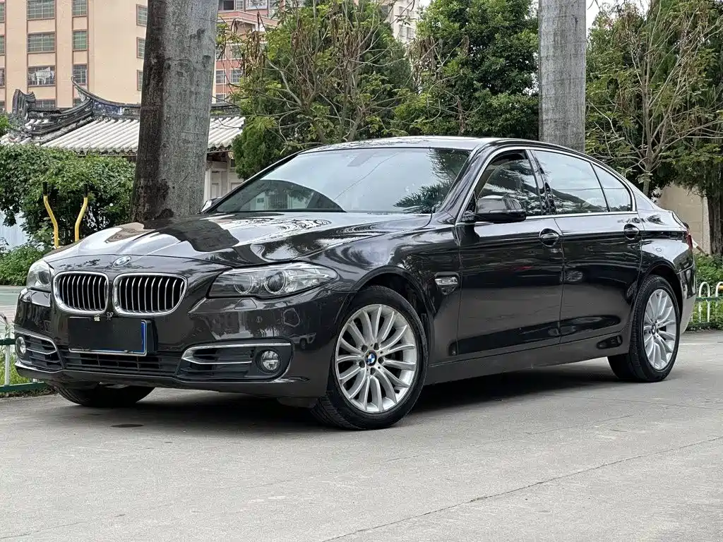 BMW 5 Series 2014 — фото 1