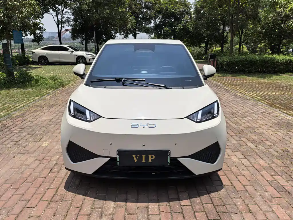 BYD Seagull 2025