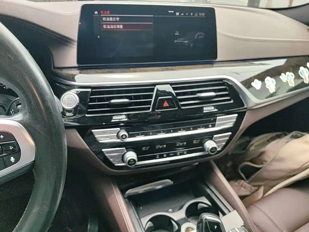 BMW 5 Series 2019 — фото 13