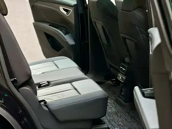 Audi Q5 E-Tron 2024