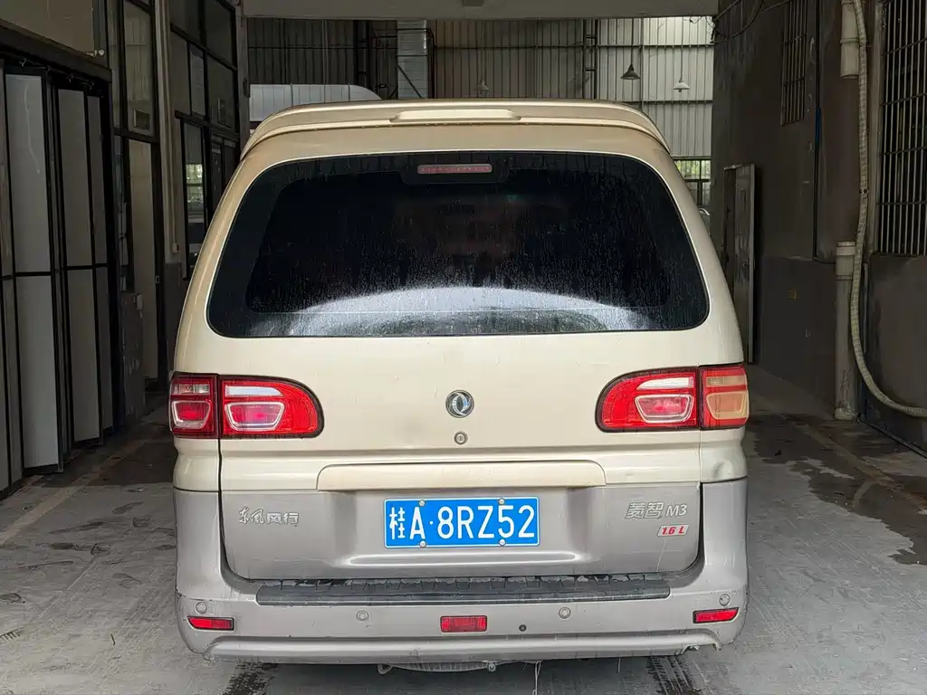 Dongfeng Lingzhi 2018