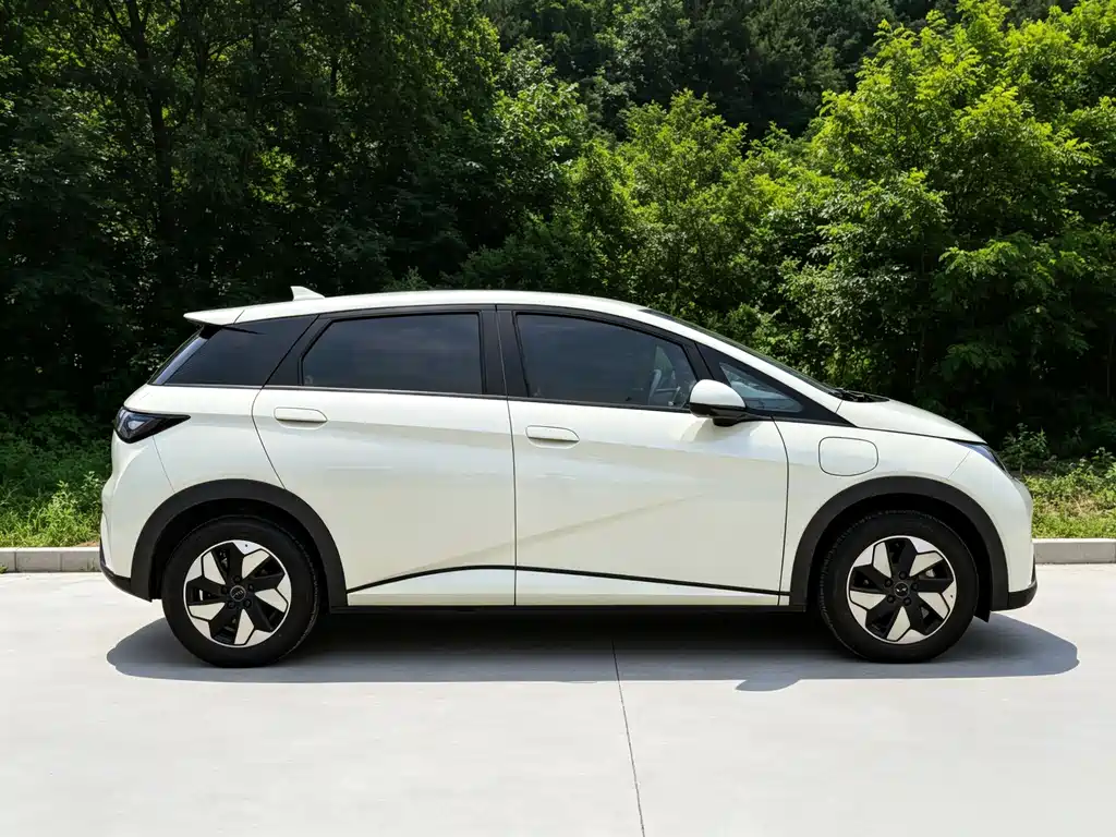 BYD Dolphin 2025