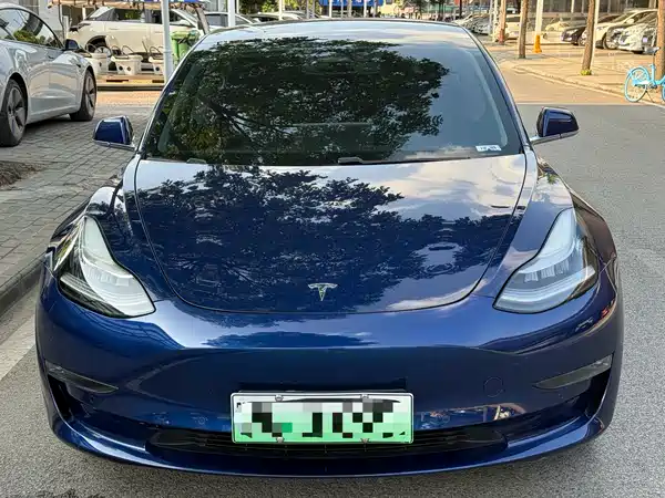 Tesla Model 3 2019
