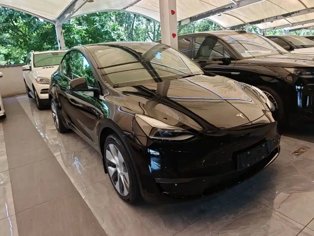 Tesla Model Y 2023 — фото 4