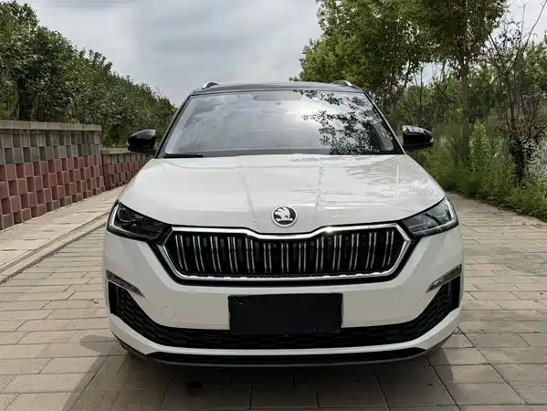 Skoda Kamiq 2022