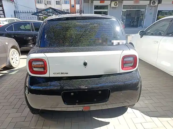 Ora Black Cat 2021