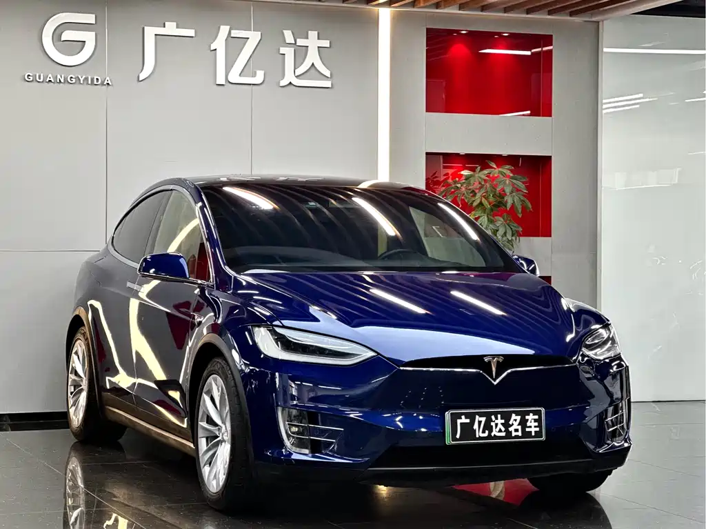 Tesla Model X 2019 — фото 3