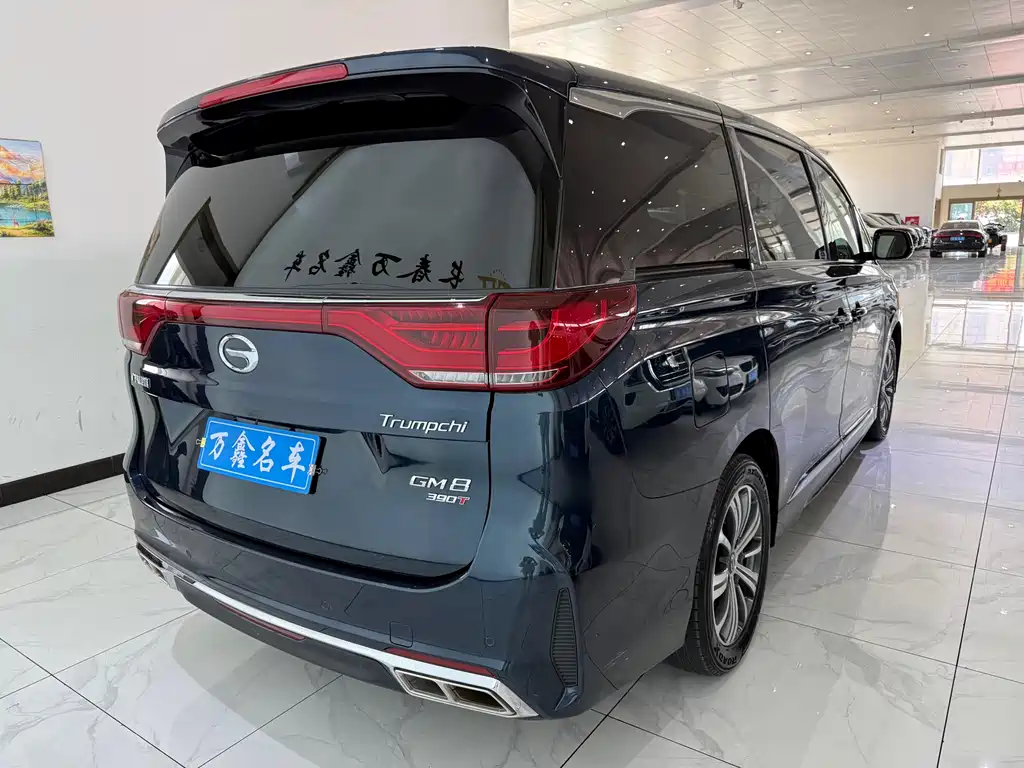 GAC Motor Trumpchi M8 2020 — фото 19