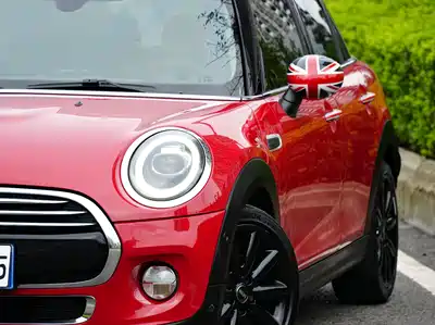 MINI MINI 2019